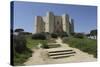 Castel Del Monte, Octagonal Castle, Built for Emperor Frederick Ii in the 1240S, Apulia, Italy-Stuart Forster-Stretched Canvas