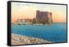 Castel dell'Ovo, Naples, Italy-null-Framed Stretched Canvas