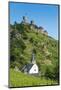 Castel Thurant Above Alken, Moselle Valley, Rhineland-Palatinate, Germany, Europe-Michael Runkel-Mounted Photographic Print