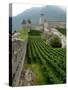 Castelgrande Vineyards and Fortified Walls, Bellinzona, Switzerland-Lisa S. Engelbrecht-Stretched Canvas