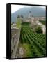 Castelgrande Vineyards and Fortified Walls, Bellinzona, Switzerland-Lisa S. Engelbrecht-Framed Stretched Canvas