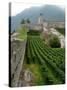 Castelgrande Vineyards and Fortified Walls, Bellinzona, Switzerland-Lisa S. Engelbrecht-Stretched Canvas