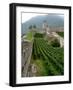 Castelgrande Vineyards and Fortified Walls, Bellinzona, Switzerland-Lisa S. Engelbrecht-Framed Photographic Print