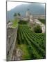 Castelgrande Vineyards and Fortified Walls, Bellinzona, Switzerland-Lisa S. Engelbrecht-Mounted Photographic Print