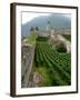 Castelgrande Vineyards and Fortified Walls, Bellinzona, Switzerland-Lisa S. Engelbrecht-Framed Photographic Print