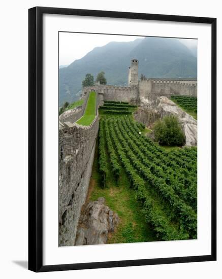 Castelgrande Vineyards and Fortified Walls, Bellinzona, Switzerland-Lisa S. Engelbrecht-Framed Photographic Print