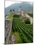 Castelgrande Vineyards and Fortified Walls, Bellinzona, Switzerland-Lisa S. Engelbrecht-Mounted Photographic Print