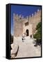 Castell De Capdepera, Capdepera, Majorca (Mallorca)-Markus Lange-Framed Stretched Canvas