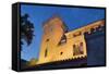 Castell De Son Mas, Andratx, Majorca, the Balearic Islands, Spain-Rainer Mirau-Framed Stretched Canvas