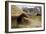 Castell Henllys-Duncan Maxwell-Framed Photographic Print