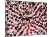 Castell human tower in front of the City Hall during the Festa Major Festival-Karol Kozlowski-Mounted Photographic Print