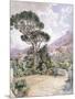 Castellamare-Ludwig Hans Fischer-Mounted Giclee Print