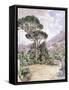 Castellamare-Ludwig Hans Fischer-Framed Stretched Canvas