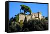 Castello Brown, Portofino, Genova (Genoa), Liguria, Italy, Europe-Carlo Morucchio-Framed Stretched Canvas