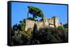 Castello Brown, Portofino, Genova (Genoa), Liguria, Italy, Europe-Carlo Morucchio-Framed Stretched Canvas