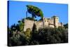 Castello Brown, Portofino, Genova (Genoa), Liguria, Italy, Europe-Carlo Morucchio-Stretched Canvas