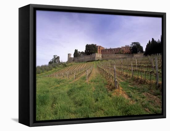 Castello Di Brolio and Famous Vineyards, Brolio, Chianti, Tuscany, Italy, Europe-Patrick Dieudonne-Framed Stretched Canvas