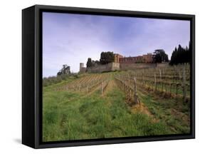 Castello Di Brolio and Famous Vineyards, Brolio, Chianti, Tuscany, Italy, Europe-Patrick Dieudonne-Framed Stretched Canvas