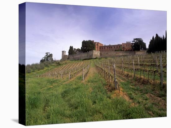 Castello Di Brolio and Famous Vineyards, Brolio, Chianti, Tuscany, Italy, Europe-Patrick Dieudonne-Stretched Canvas