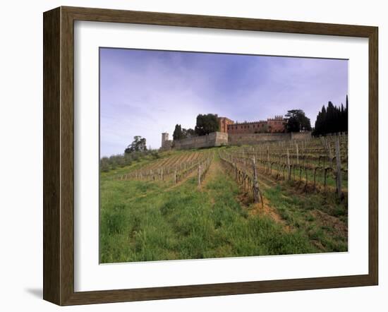 Castello Di Brolio and Famous Vineyards, Brolio, Chianti, Tuscany, Italy, Europe-Patrick Dieudonne-Framed Photographic Print