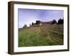 Castello Di Brolio and Famous Vineyards, Brolio, Chianti, Tuscany, Italy, Europe-Patrick Dieudonne-Framed Photographic Print