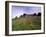 Castello Di Brolio and Famous Vineyards, Brolio, Chianti, Tuscany, Italy, Europe-Patrick Dieudonne-Framed Photographic Print