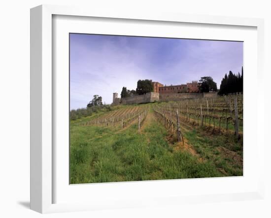 Castello Di Brolio and Famous Vineyards, Brolio, Chianti, Tuscany, Italy, Europe-Patrick Dieudonne-Framed Photographic Print