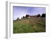 Castello Di Brolio and Famous Vineyards, Brolio, Chianti, Tuscany, Italy, Europe-Patrick Dieudonne-Framed Photographic Print