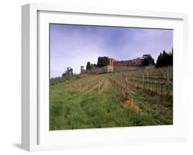 Castello Di Brolio and Famous Vineyards, Brolio, Chianti, Tuscany, Italy, Europe-Patrick Dieudonne-Framed Photographic Print