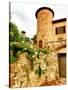 Castello Di Gabbiano, One of the Historic Chianti Wine Estates in Tuscany, Greve, Italy-Richard Duval-Stretched Canvas