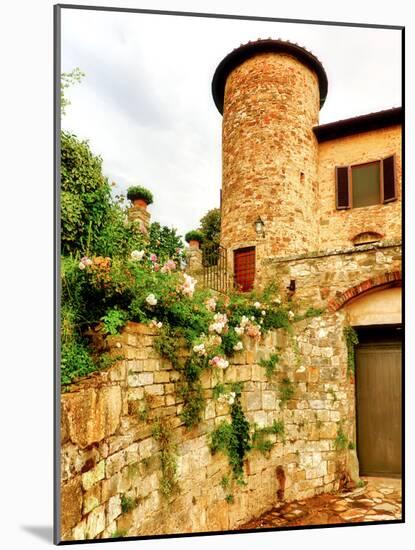 Castello Di Gabbiano, One of the Historic Chianti Wine Estates in Tuscany, Greve, Italy-Richard Duval-Mounted Photographic Print