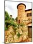 Castello Di Gabbiano, One of the Historic Chianti Wine Estates in Tuscany, Greve, Italy-Richard Duval-Mounted Photographic Print