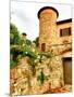 Castello Di Gabbiano, One of the Historic Chianti Wine Estates in Tuscany, Greve, Italy-Richard Duval-Mounted Photographic Print