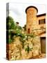 Castello Di Gabbiano, One of the Historic Chianti Wine Estates in Tuscany, Greve, Italy-Richard Duval-Stretched Canvas