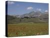 Castelluccio Di Norcia, Norcia, Umbria, Italy, Europe-Angelo Cavalli-Stretched Canvas