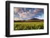 Castelluccio Di Norcia, Sibillini National Park, Umbria, Italy-ClickAlps-Framed Photographic Print