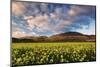 Castelluccio Di Norcia, Sibillini National Park, Umbria, Italy-ClickAlps-Mounted Photographic Print