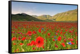 Castelluccio, Norcia, Perugia province, Umbria, Italy-ClickAlps-Framed Stretched Canvas