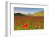 Castelluccio, Norcia, Perugia province, Umbria, Italy-ClickAlps-Framed Photographic Print