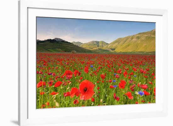 Castelluccio, Norcia, Perugia province, Umbria, Italy-ClickAlps-Framed Photographic Print