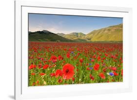 Castelluccio, Norcia, Perugia province, Umbria, Italy-ClickAlps-Framed Photographic Print