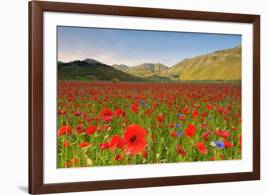 Castelluccio, Norcia, Perugia province, Umbria, Italy-ClickAlps-Framed Photographic Print