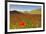 Castelluccio, Norcia, Perugia province, Umbria, Italy-ClickAlps-Framed Photographic Print