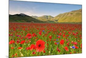 Castelluccio, Norcia, Perugia province, Umbria, Italy-ClickAlps-Mounted Photographic Print