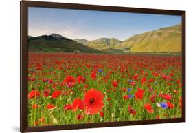 Castelluccio, Norcia, Perugia province, Umbria, Italy-ClickAlps-Framed Photographic Print