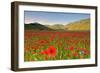 Castelluccio, Norcia, Perugia province, Umbria, Italy-ClickAlps-Framed Photographic Print