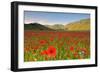 Castelluccio, Norcia, Perugia province, Umbria, Italy-ClickAlps-Framed Photographic Print