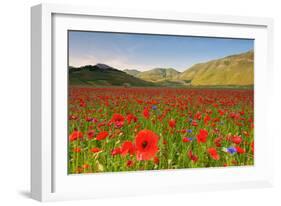 Castelluccio, Norcia, Perugia province, Umbria, Italy-ClickAlps-Framed Photographic Print