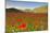 Castelluccio, Norcia, Perugia province, Umbria, Italy-ClickAlps-Mounted Photographic Print