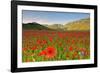 Castelluccio, Norcia, Perugia province, Umbria, Italy-ClickAlps-Framed Photographic Print